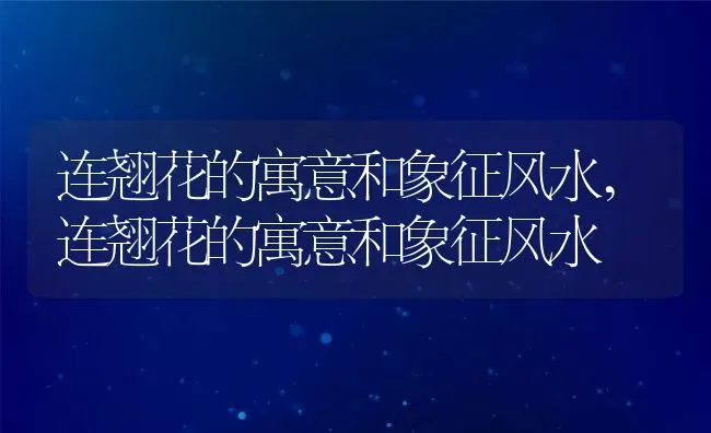 连翘花的寓意和象征风水,连翘花的寓意和象征风水 | 养殖科普