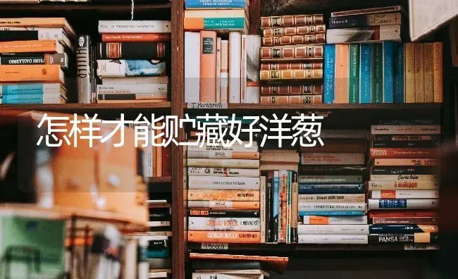 怎样才能贮藏好洋葱 | 养殖技术大全