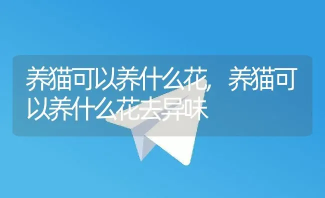养猫可以养什么花,养猫可以养什么花去异味 | 养殖科普