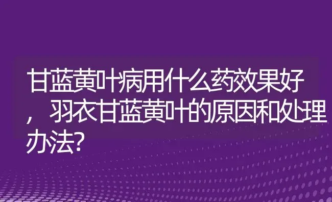 甘蓝黄叶病用什么药效果好,羽衣甘蓝黄叶的原因和处理办法？ | 养殖科普