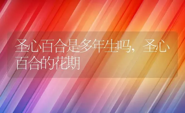 圣心百合是多年生吗,圣心百合的花期 | 养殖学堂