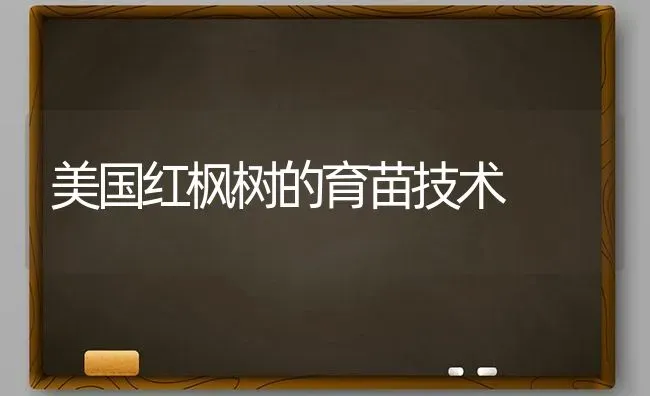 怎样才能提高夏播花生的产量 | 养殖知识
