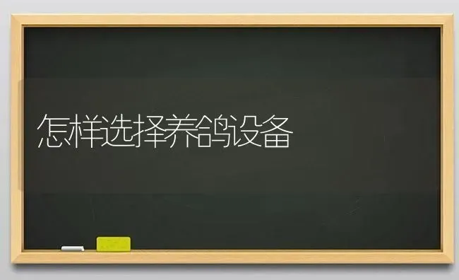 怎样选择养鸽设备 | 养殖技术大全