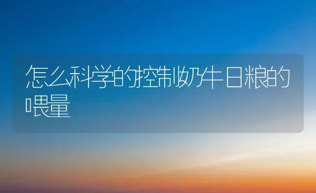 怎么科学的控制奶牛日粮的喂量 | 养殖技术大全