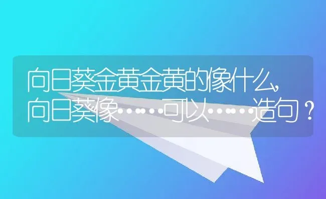 向日葵金黄金黄的像什么,向日葵像……可以……造句？ | 养殖科普