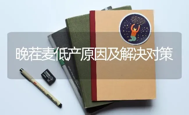 晚茬麦低产原因及解决对策 | 养殖技术大全