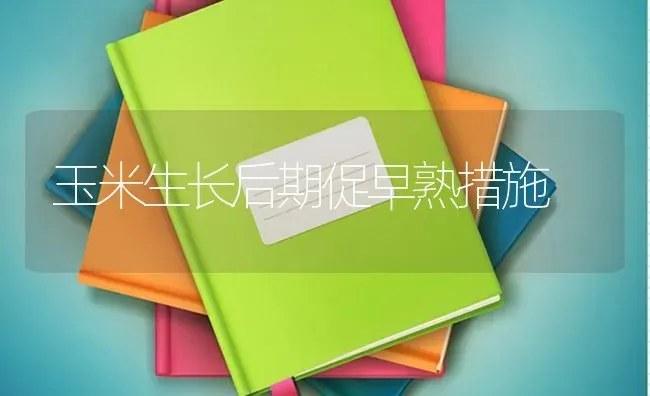 母牛繁殖“三多法” | 养殖知识