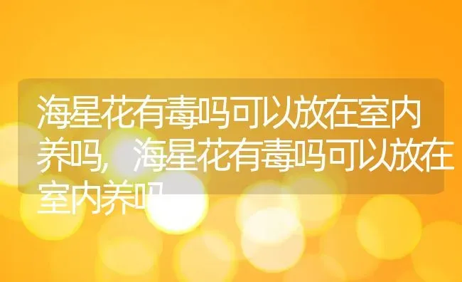 海星花有毒吗可以放在室内养吗,海星花有毒吗可以放在室内养吗 | 养殖科普