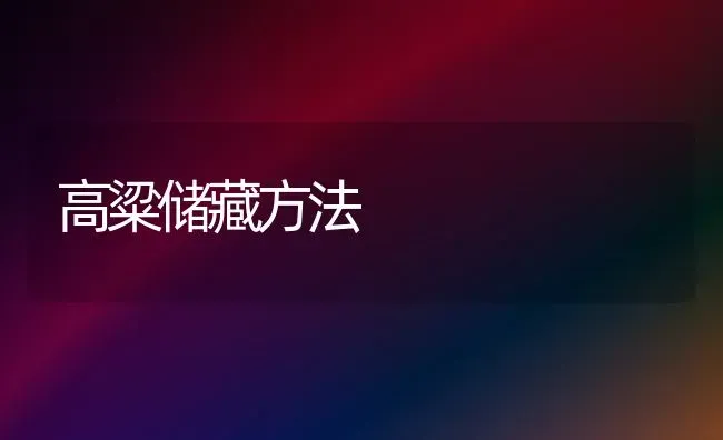 高粱储藏方法 | 养殖技术大全