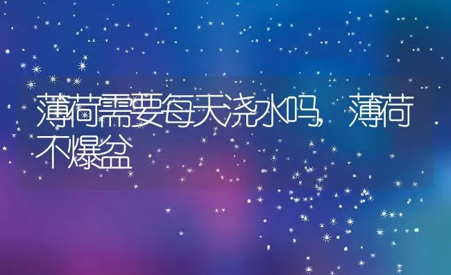 蔓越莓长在树上还是地上生长在什么地方的,蔓越莓产地及种植方法 | 养殖学堂