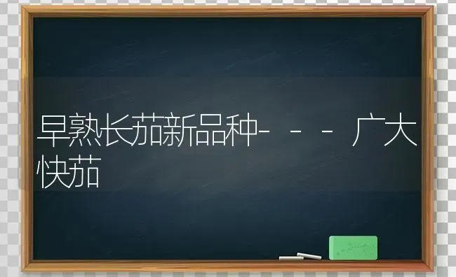 早熟长茄新品种---广大快茄 | 养殖技术大全