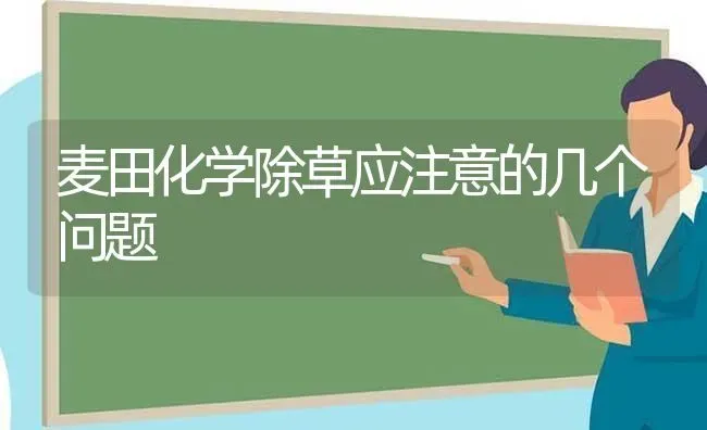 麦田化学除草应注意的几个问题 | 养殖技术大全