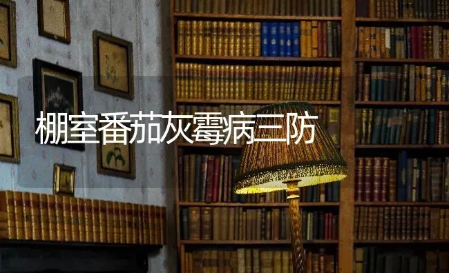 棚室番茄灰霉病三防 | 养殖技术大全