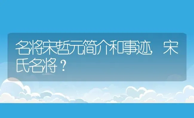 名将宋哲元简介和事迹,宋氏名将？ | 养殖科普