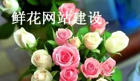 第一次见面送什么花合适,异性朋友初次见面送什么花合适？