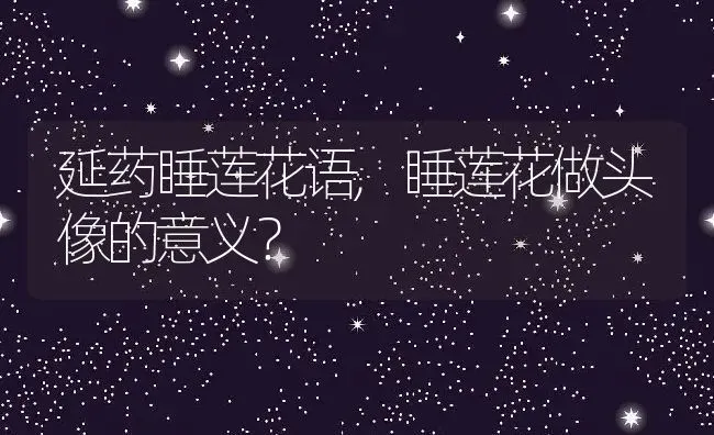 延药睡莲花语,睡莲花做头像的意义？ | 养殖科普