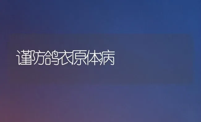 谨防鸽衣原体病 | 养殖技术大全