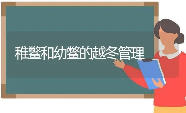 稚鳖和幼鳖的越冬管理 | 养殖技术大全