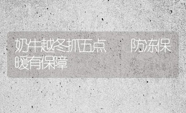 奶牛越冬抓五点  防冻保暖有保障 | 养殖技术大全