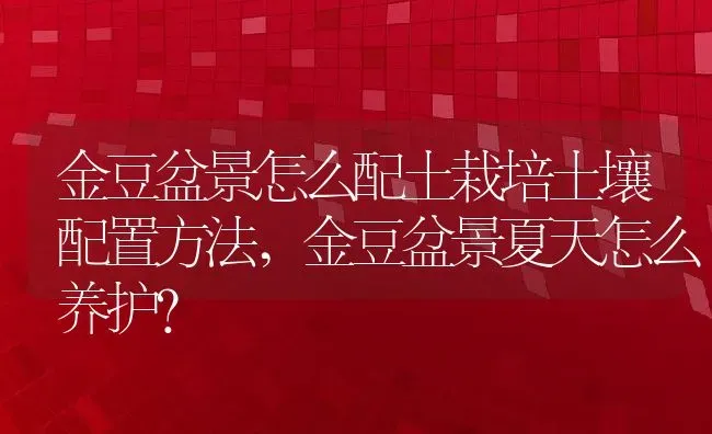 金豆盆景怎么配土栽培土壤配置方法,金豆盆景夏天怎么养护？ | 养殖科普