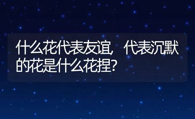 什么花代表友谊,代表沉默的花是什么花捏？ | 养殖科普