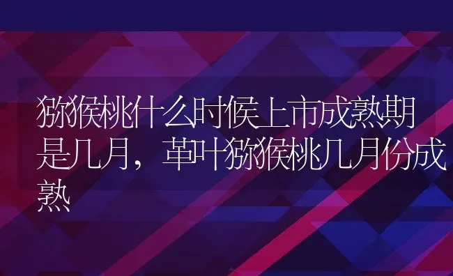 猕猴桃什么时候上市成熟期是几月,革叶猕猴桃几月份成熟 | 养殖学堂