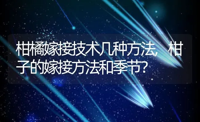 柑橘嫁接技术几种方法,柑子的嫁接方法和季节？ | 养殖科普