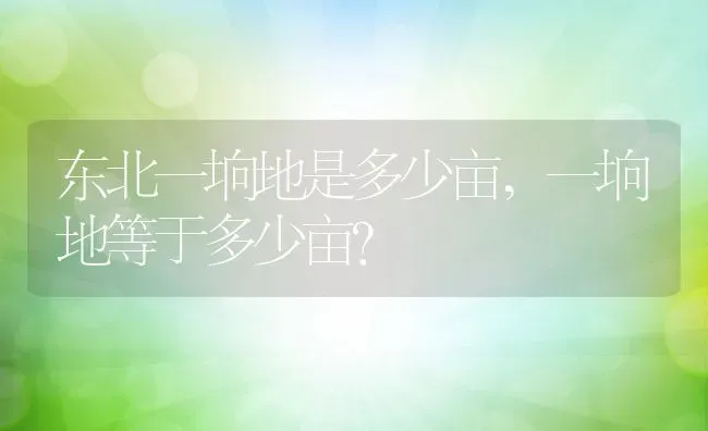 东北一垧地是多少亩,一垧地等于多少亩？ | 养殖科普