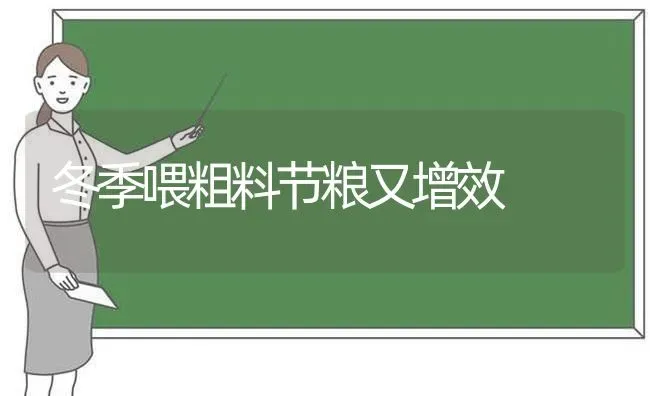 冬季喂粗料节粮又增效 | 养殖知识