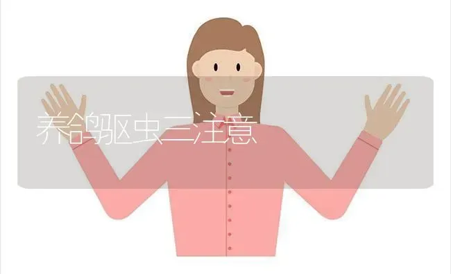 养鸽驱虫三注意 | 养殖知识