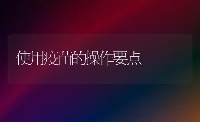 使用疫苗的操作要点 | 养殖技术大全