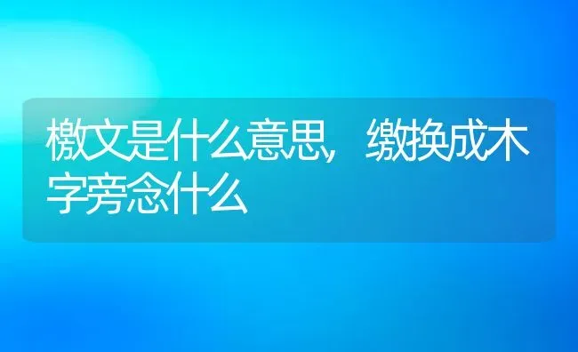 檄文是什么意思缴换成木字旁念什么 | 养殖学堂