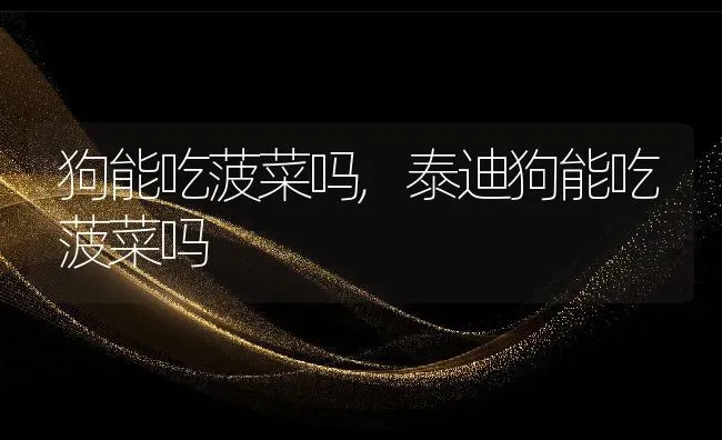 狗能吃菠菜吗,泰迪狗能吃菠菜吗 | 养殖资料