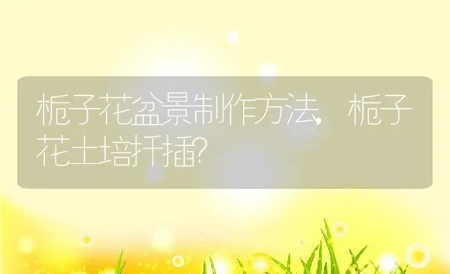 栀子花盆景制作方法,栀子花土培扦插？ | 养殖科普