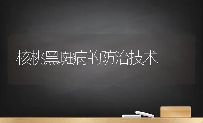 核桃黑斑病的防治技术 | 养殖技术大全