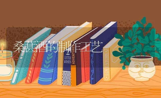 桑葚酒的制作工艺 | 养殖知识