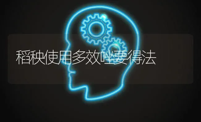 稻秧使用多效唑要得法 | 养殖技术大全