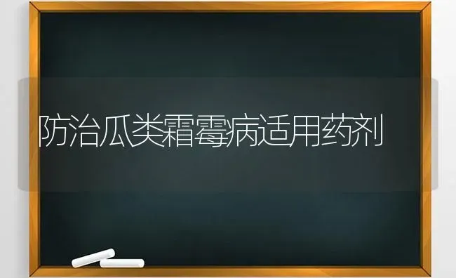 防治瓜类霜霉病适用药剂 | 养殖知识