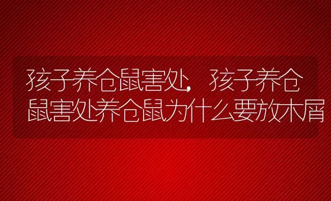 孩子养仓鼠害处,孩子养仓鼠害处养仓鼠为什么要放木屑 | 养殖资料