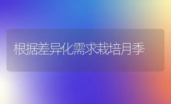 根据差异化需求栽培月季 | 养殖知识