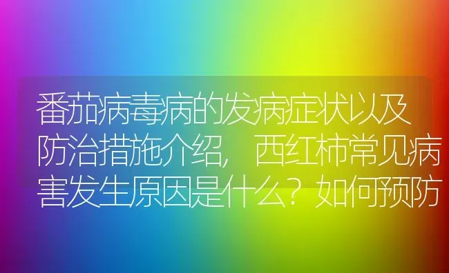 番茄病毒病的发病症状以及防治措施介绍,西红柿常见病害发生原因是什么？如何预防 | 养殖学堂