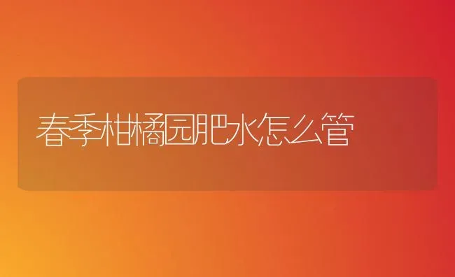 青虾暂养技术 | 养殖技术大全