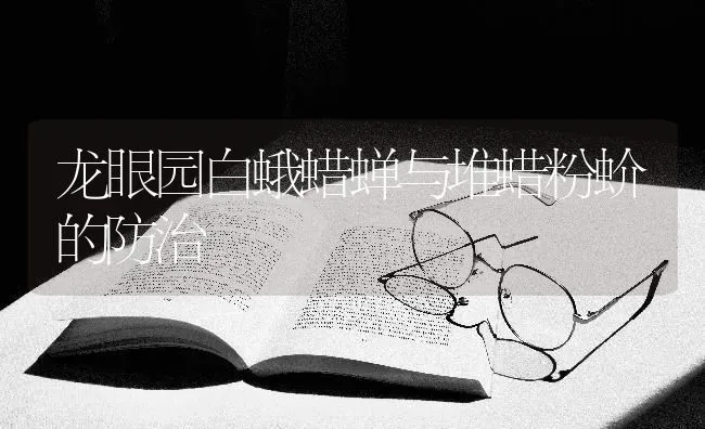 龙眼园白蛾蜡蝉与堆蜡粉蚧的防治 | 养殖技术大全