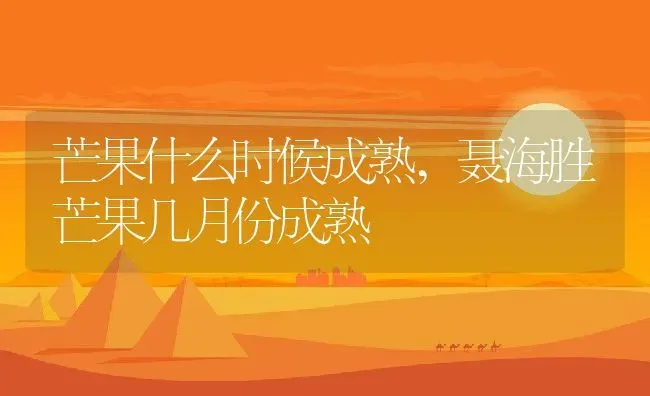芒果什么时候成熟,聂海胜芒果几月份成熟 | 养殖学堂
