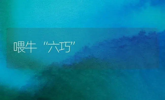 喂牛“六巧” | 养殖技术大全