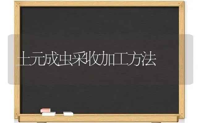土元成虫采收加工方法 | 养殖技术大全