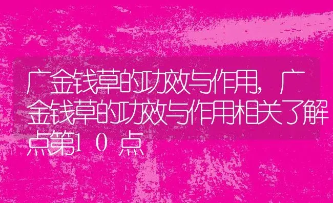 广金钱草的功效与作用,广金钱草的功效与作用相关了解点第10点 | 养殖学堂