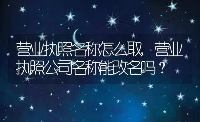营业执照名称怎么取,营业执照公司名称能改名吗？ | 养殖学堂