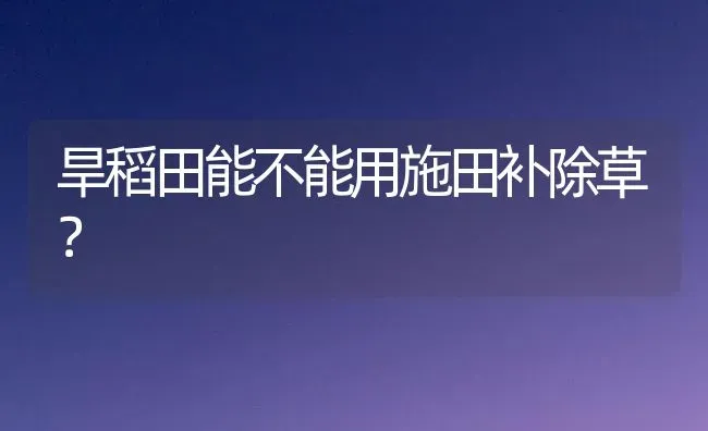 旱稻田能不能用施田补除草? | 养殖技术大全