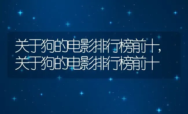 关于狗的电影排行榜前十,关于狗的电影排行榜前十 | 养殖科普